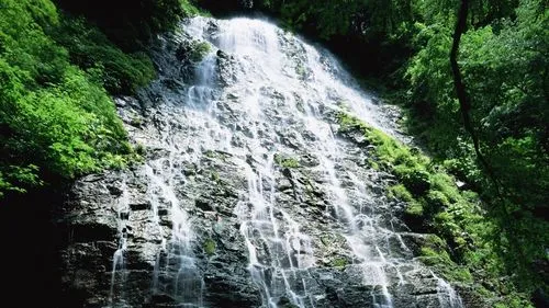 高端可靠性